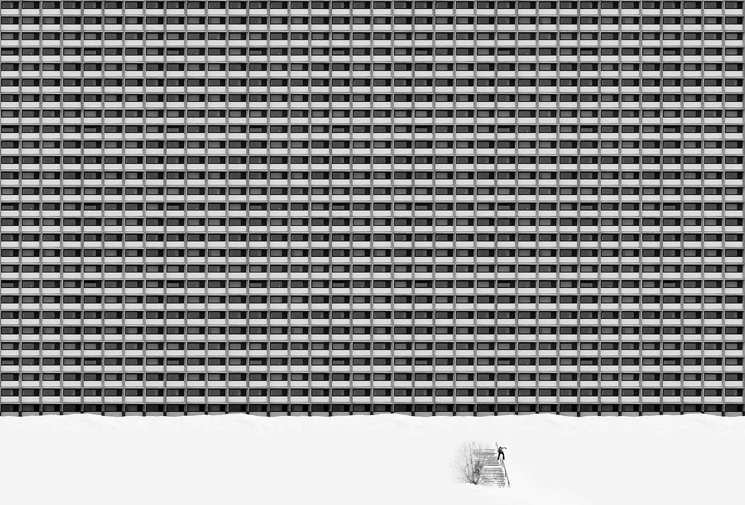 Red Bull: The Best in Sport Photos - Sportsnet.ca