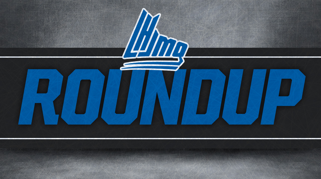 QMJHL Roundup: Brady James makes 38 saves to lead Mooseheads over Eagles