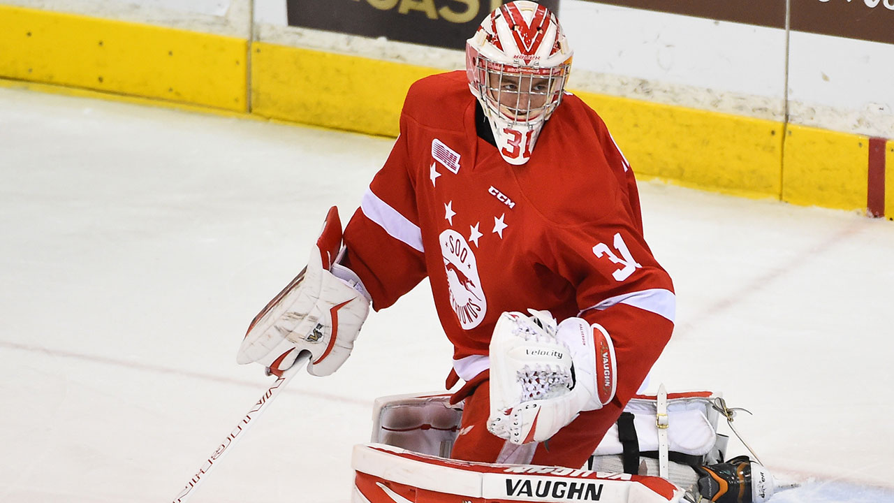 Halverson backstops Hounds to win over Whalers