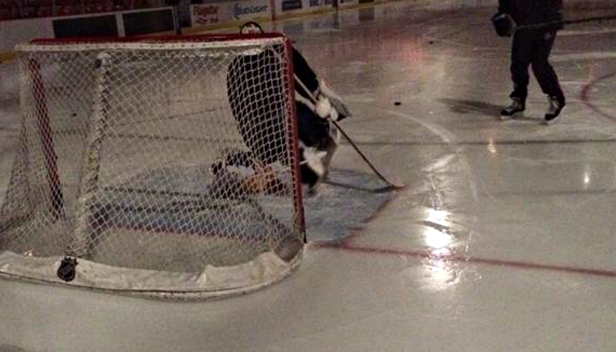 Roberto-Luongo,-Detroit-Red-Wings,-power,-Florida-Panthers