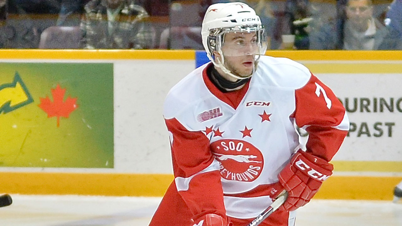 OHL;-Salut-Ste.-Marie-Greyhounds