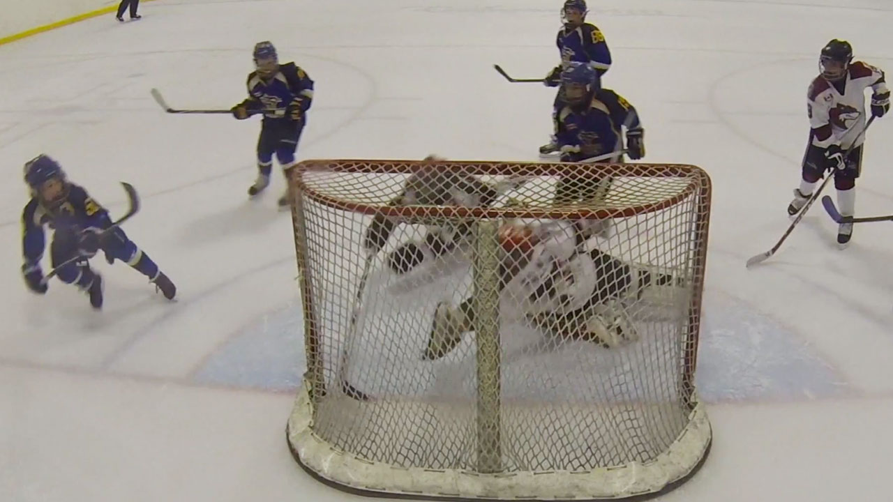 Amazing-hockey-save