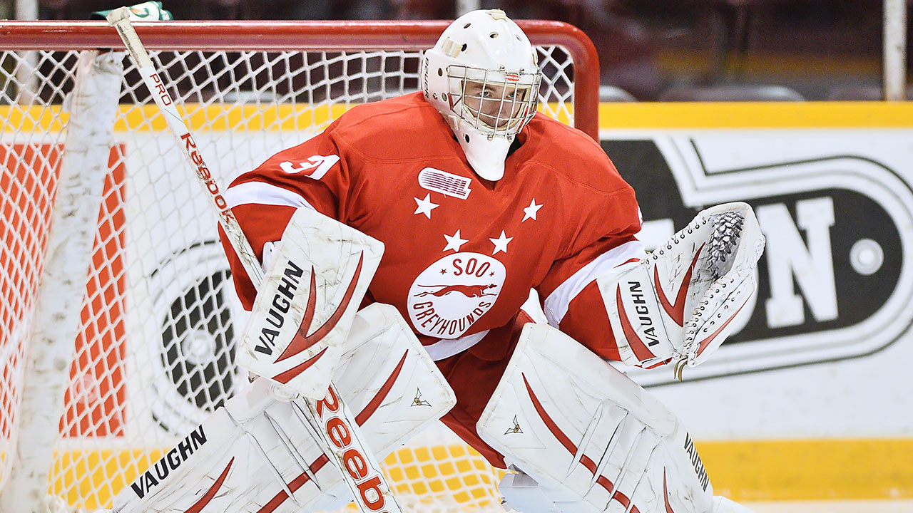 Brandon-Halverson;-Sault-Ste.-Marie-Greyhounds;-OHL
