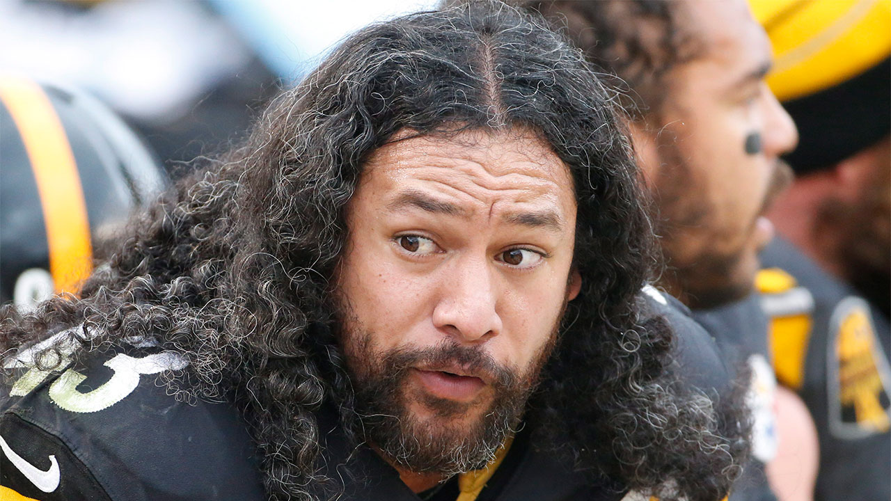 Troy Polamalu retires from NFL after 12 seasons at Pittsburgh Steelers, NFL