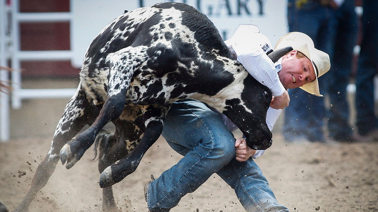 Calgary-Stampede