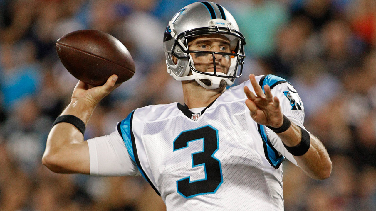 Derek-Anderson;-Carolina-Panthers;-NFL
