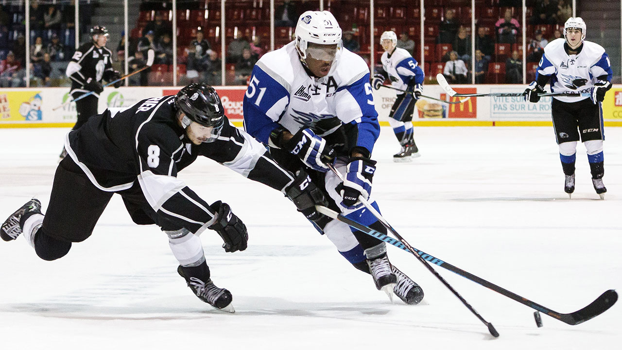 QMJHL-blog:-Saint-John-Sea-Dogs;-Phoenix-Sherbrooke;-CHL;-Quebec-Remparts