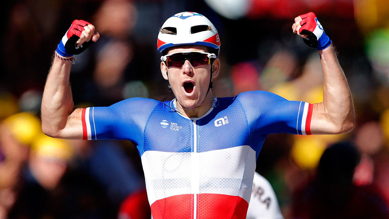 France's Arnaud Demare. (Christophe Ena/AP)