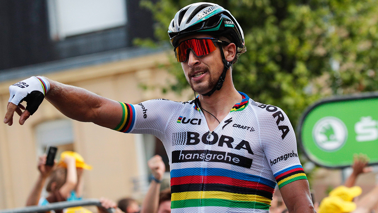 Peter-Sagan-of-Slovakia-celebrates-as-he-crosses-the-finish-line-to-win-the-third-stage-of-the-Tour-de-France-cycling-race-over-212.5-kilometers-(132-miles)-with-start-in-Verviers,-Belgium-and-finish-in-Longwy,-France,-Monday,-July-3,-2017.-(Christophe-Ena/AP)