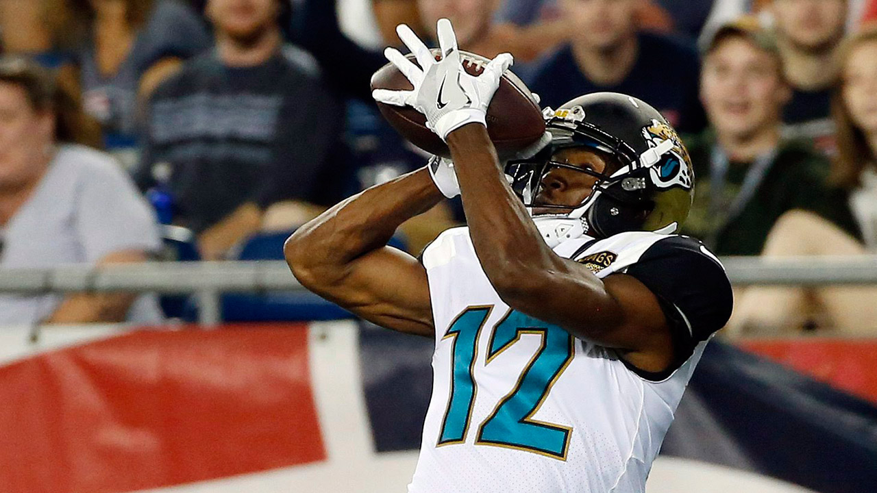 Jacksonville-Jaguars-wide-receiver-Dede-Westbrook-catches-a-pass-at-the-goal-line-for-a-touchdown.-(Mary-Schwalm/AP)