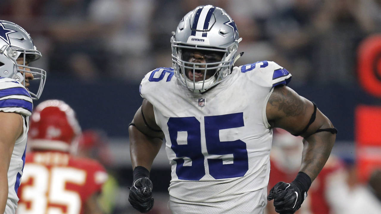 David-Irving-(95).-(Brandon-Wade/AP)