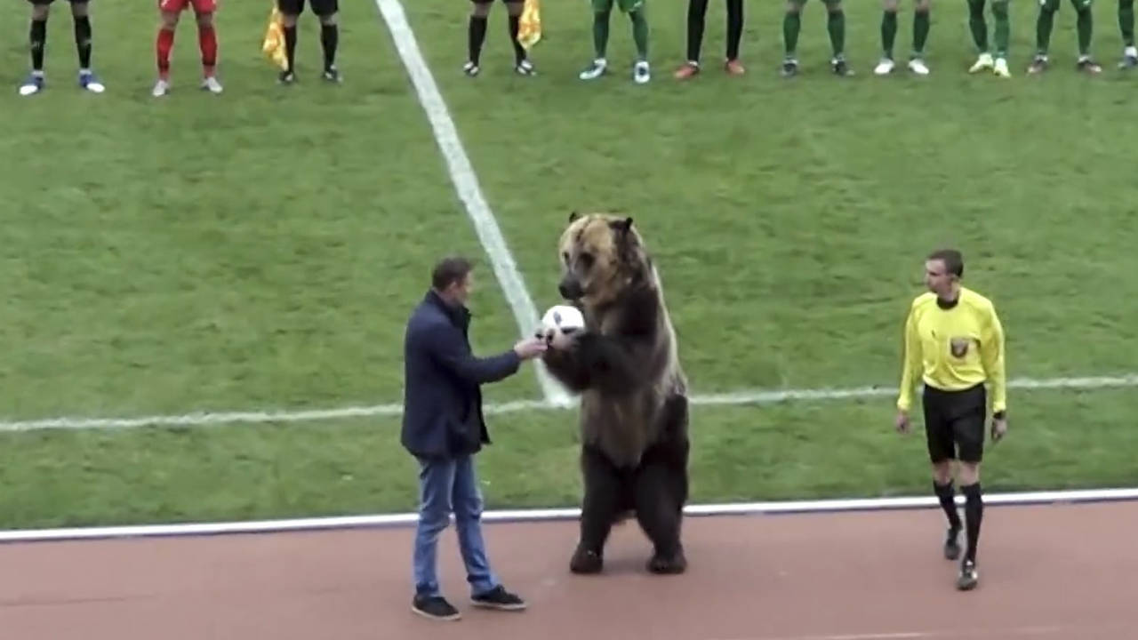 In-this-image-taken-from-video-provided-by-FC-Angusht-Nazran-a-bear-performs-before-a-Russian-Second-League-soccer-match-between-Angusht-Nazran-and-Mashuk-KMV-in-Pyatigorsk,-Russia-on-Sunday,-April-15,-2018.-(FC-Angusht-Nazran-youtube-channel-via-AP)