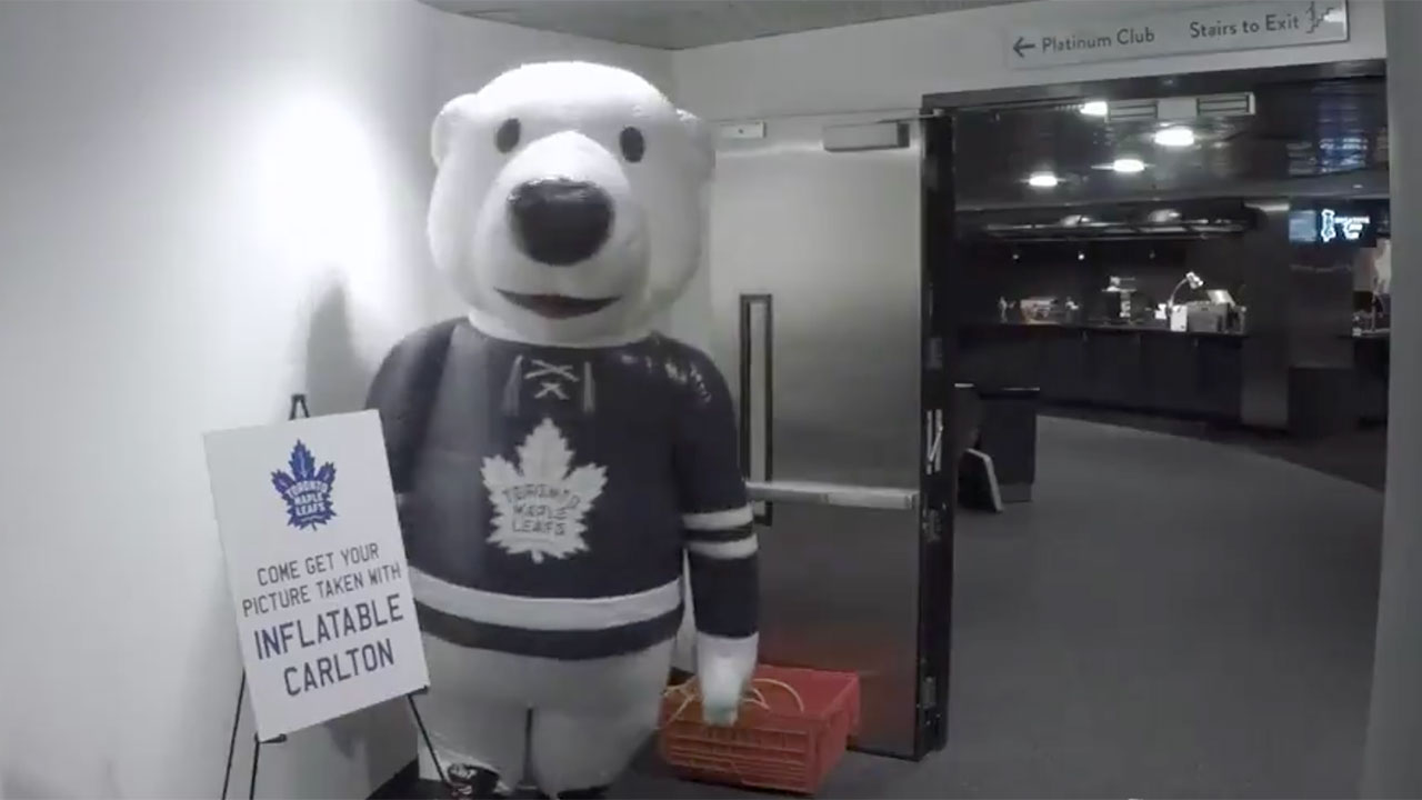 carlton-the-bear-pranks-maple-leafs-players