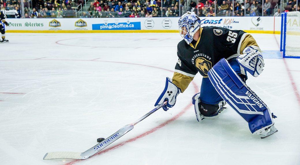 It's a done deal: St. John's to join ECHL beginning next season