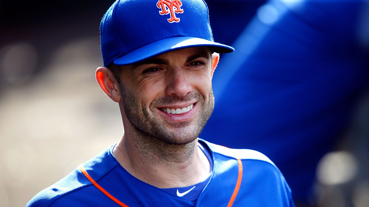 david-wright-smiles-from-the-dugout