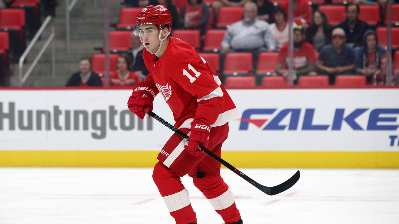 Crimson Wings’ Zadina, Islanders’ Andreoff set to have contracts terminated