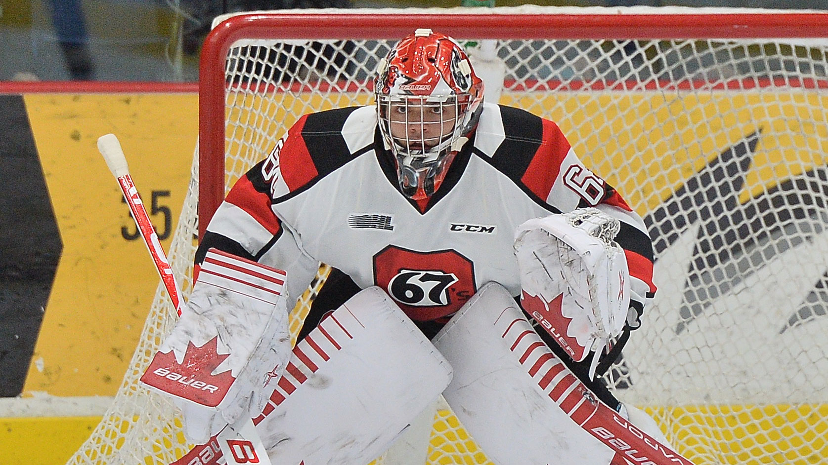 Mikey-Dipietro-Ottawa-67s