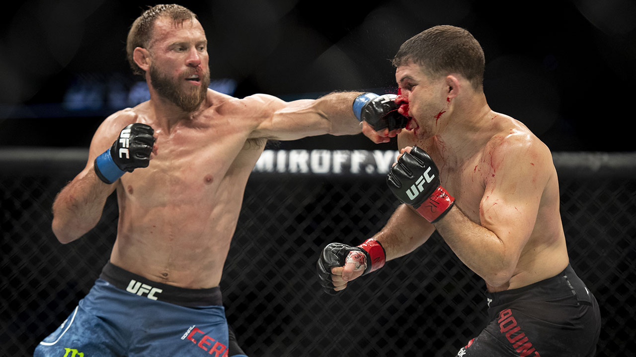 donald-cerrone-punches-al-iaquinta