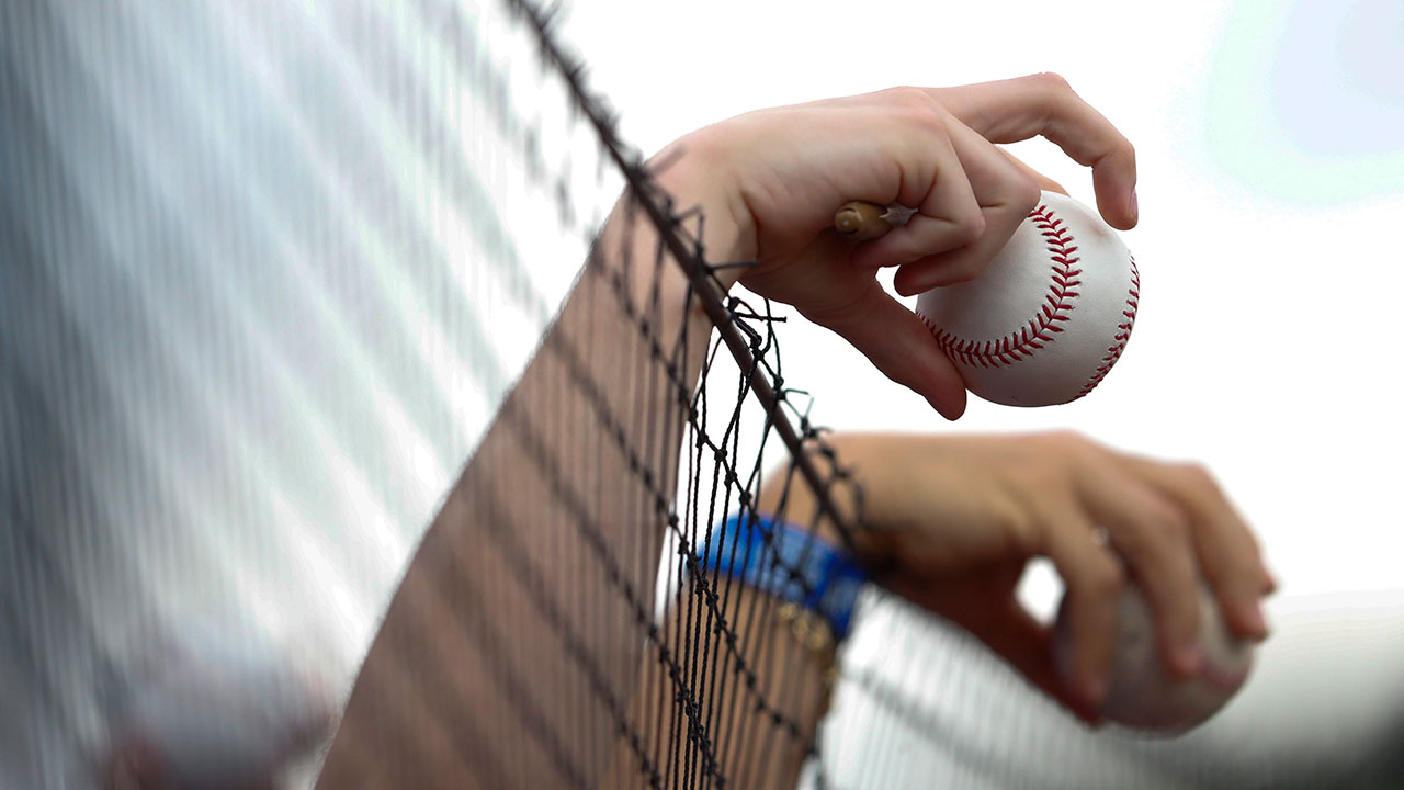 MLB-Netting