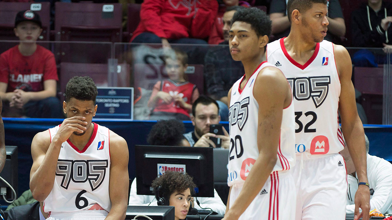 Raptors-905
