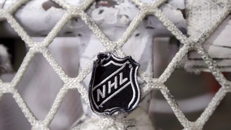 nhl-logo-on-net
