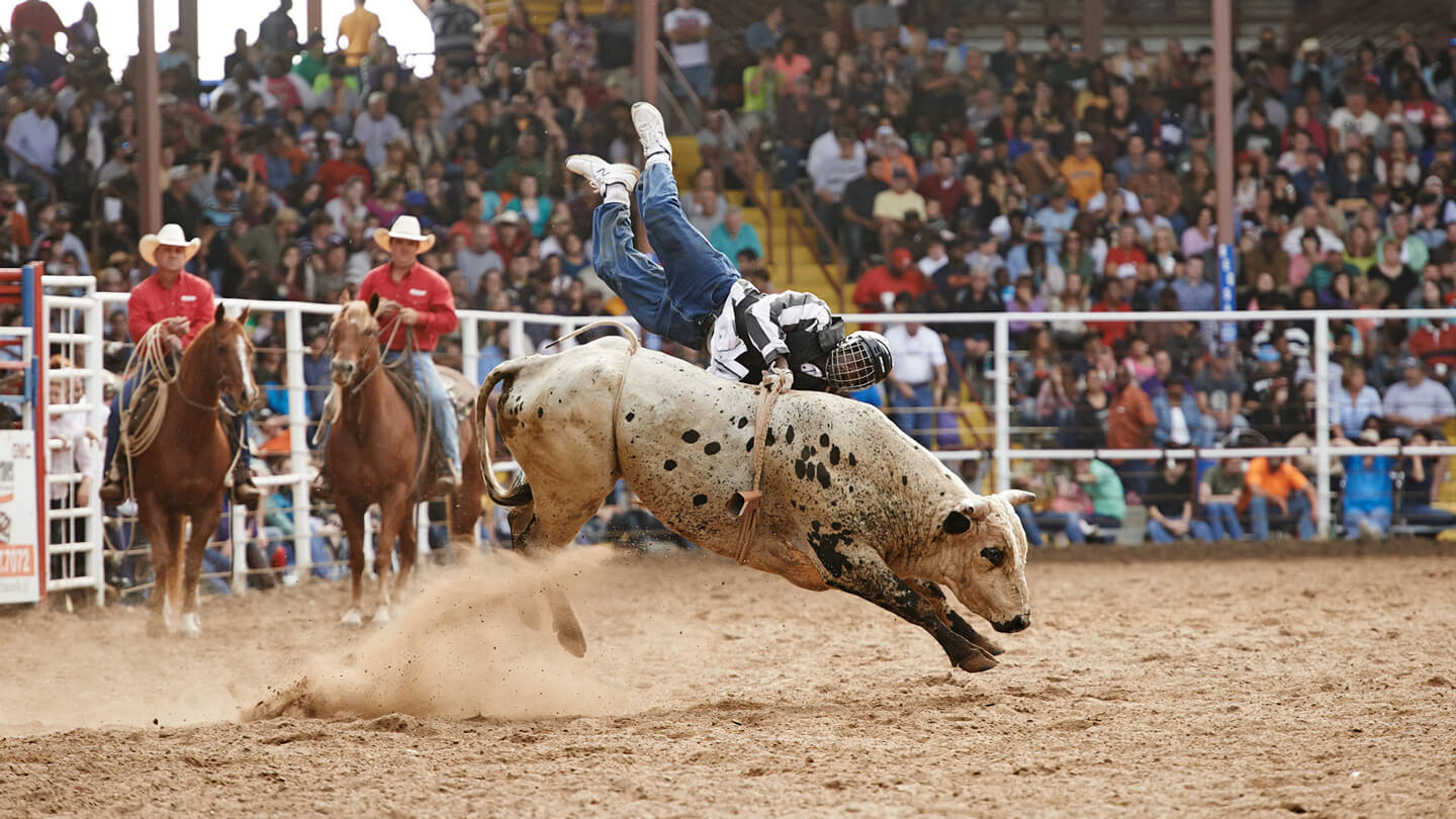 Angola's prison rodeo offers inmates a deathdefying taste of freedom