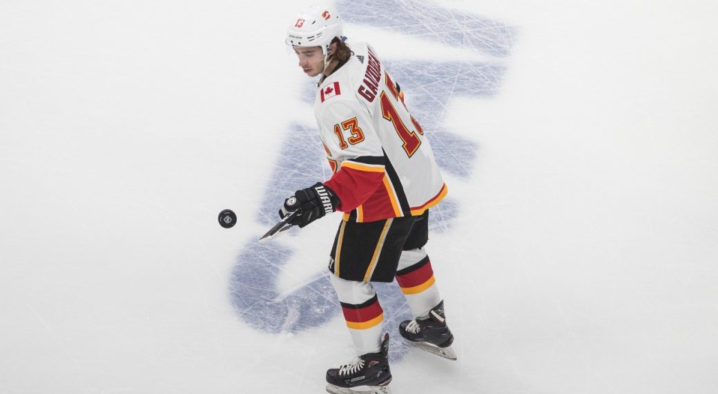 gaudreau nhl