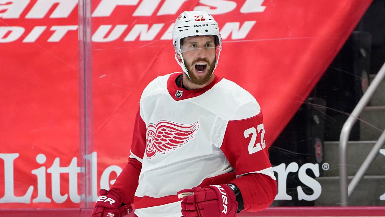 Detroit Red Wings defenseman Patrik Nemeth celebrates his goal against the Florida Panthers in the second period of an NHL hockey game Saturday, Feb. 20, 2021, in Detroit. (Paul Sancya/AP)