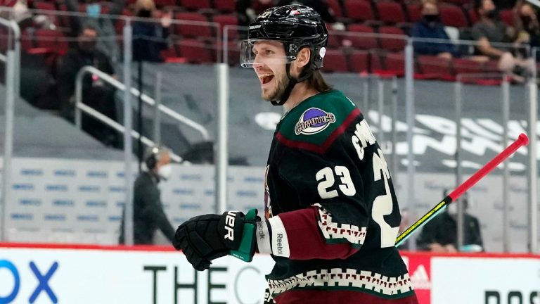 Arizona Coyotes defenceman Oliver Ekman-Larsson. (Ross D. Franklin/AP)