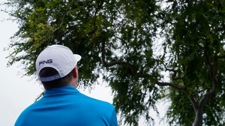 Mackenzie Hughes, of Canada, looks upward towards his ball that is stuck in the tree along the 11th fairway during the final round of the U.S. Open Golf Championship, Sunday, June 20, 2021, at Torrey Pines Golf Course in San Diego. (Jae C. Hong/AP)