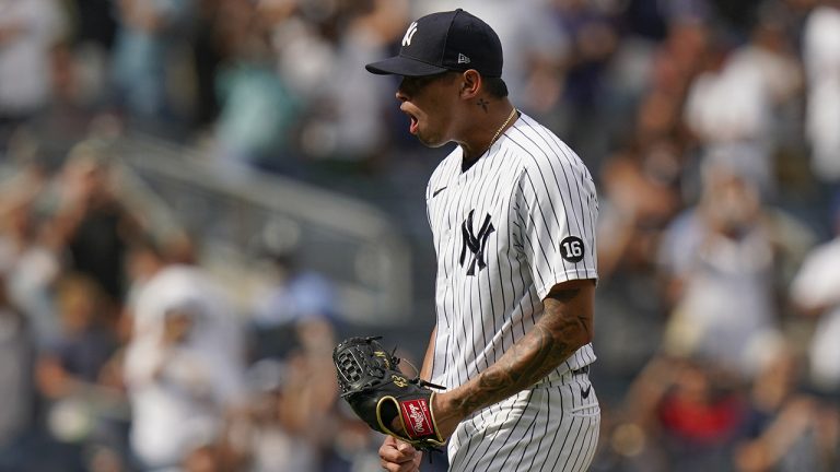 New York Yankees Jonathan Loaisiga reacts after the first baseball game of a doubleheader against the Boston Red Sox. (Frank Franklin II/AP)