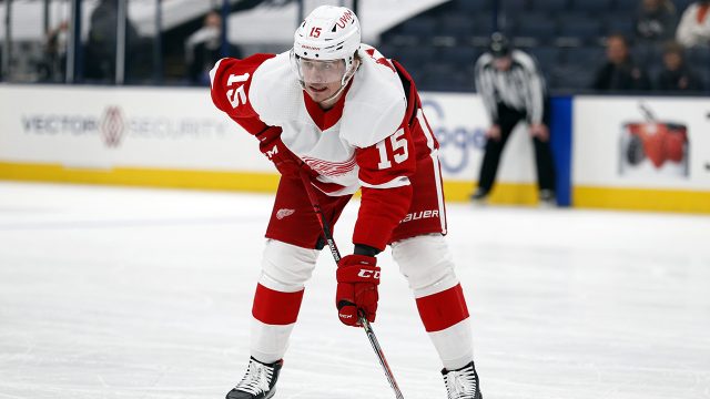Red Wings' Jakub Vrana placed in NHLPA's player assistance program 