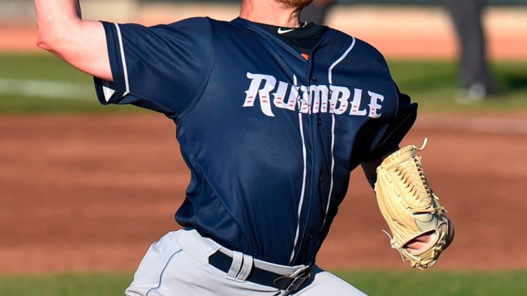 A double-A game between the Portland Sea Dogs and Binghamton Rumble Ponies exploded into a full-scale brawl after a batter was hit by a pitch. (Jack Hanrahan/Erie Times-News via AP)