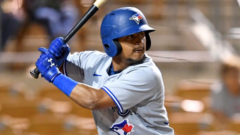 Toronto Blue Jays top prospect Gabriel Moreno. (Chris Bernacchi/Diamond Images via Getty Images)