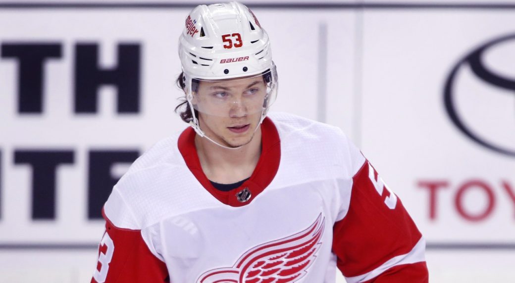 Latest on Contract Extensions For Red Wings Raymond and Seider