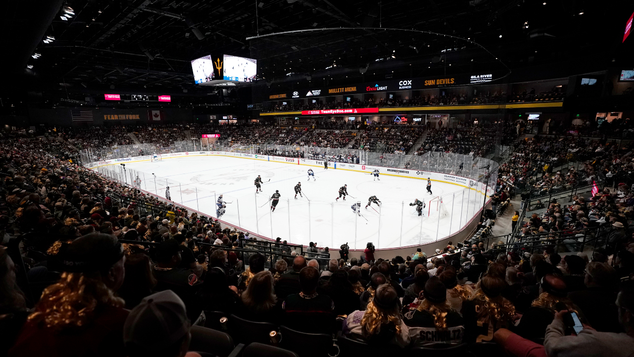Arizona Coyotes submit bid to build new arena in Tempe as team seeks new  home - Rose Law Group Reporter