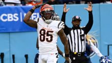 Joe Burrow’s TD to Higgins lifts Bengals over Titans despite injuries