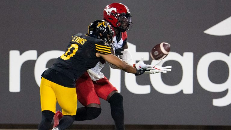 Calgary Stampeders wide receiver Richie Sindani (87) scores a touchdown late in the second half CFL football game action against the Hamilton Tiger-Cats in Hamilton, Ont. on Friday, September 17, 2021. (Peter Power/CP)