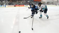 PWHPA to end season with California championship tournament