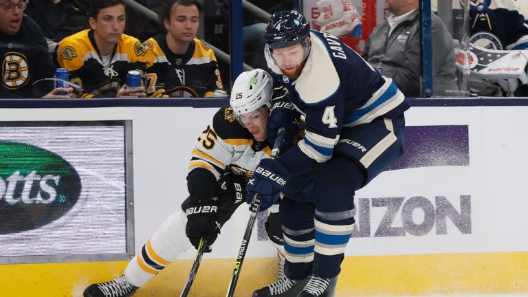  Boston Bruins' Brandon Carlo, left, and Columbus Blue Jackets' Vladislav Gavrikov chase a loose puck during the third period of an NHL hockey game. (Jay LaPrete/AP)