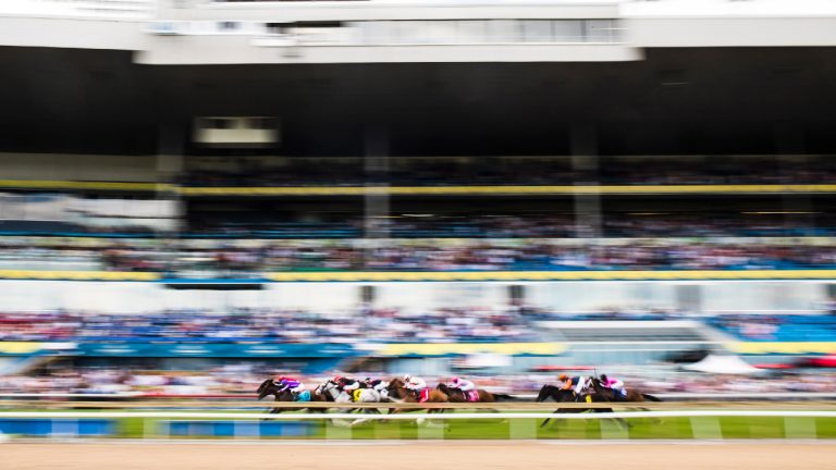Horses compete in a preliminary race at Woodbine Race Track, in Toronto, On. (Mark Blinch/CP)