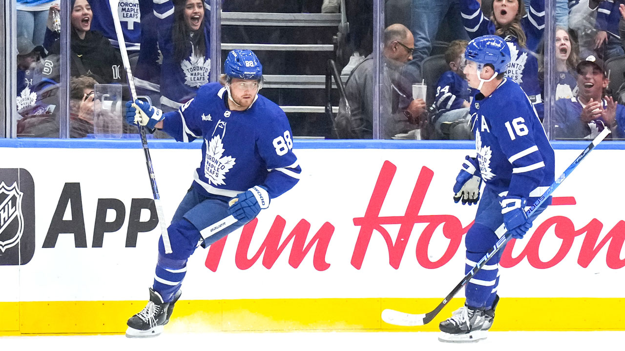 Breaking down the 2023-24 Toronto Maple Leafs roster