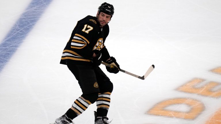 Former Boston Bruins left wing Milan Lucic (17). (Charles Krupa/AP)