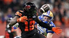CFL West Final Preview: Blue Bombers host Lions in rematch