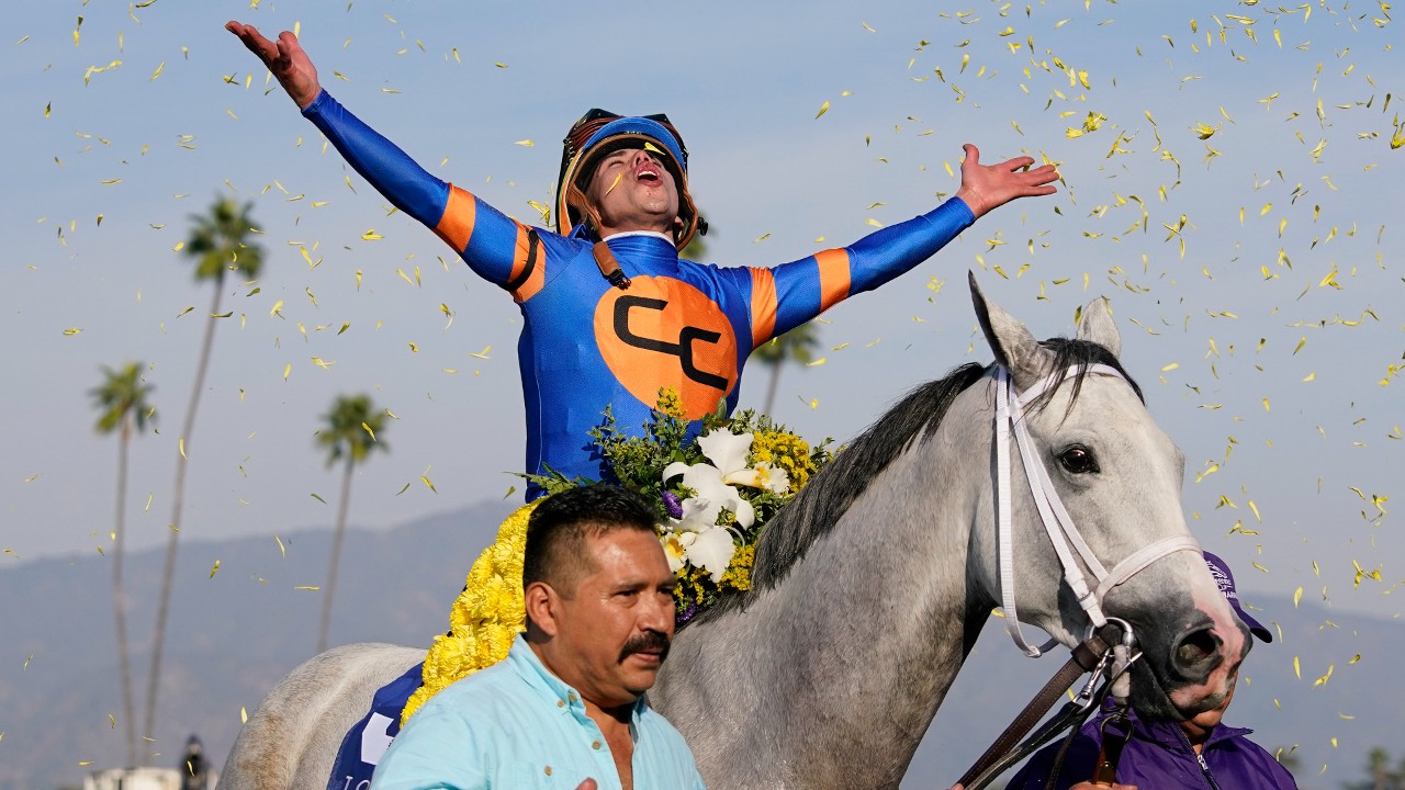 White Abarrio wins $6 million Breeders' Cup Classic - Sportsnet.ca