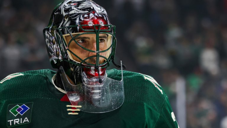 Minnesota Wild goaltender Marc-André Fleury (29). (Matt Krohn/AP)