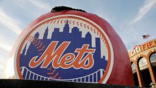 Vladi Guerrero, half-brother of Blue Jays star, strikes deal with Mets