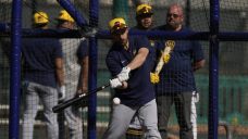 Royals sign veteran catcher Austin Nola to provide depth behind Salvador Perez