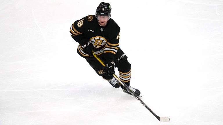 Boston Bruins centre Pavel Zacha (18) during the second period of an NHL hockey game, Tuesday, Feb. 6, 2024, in Boston. (Charles Krupa/AP)