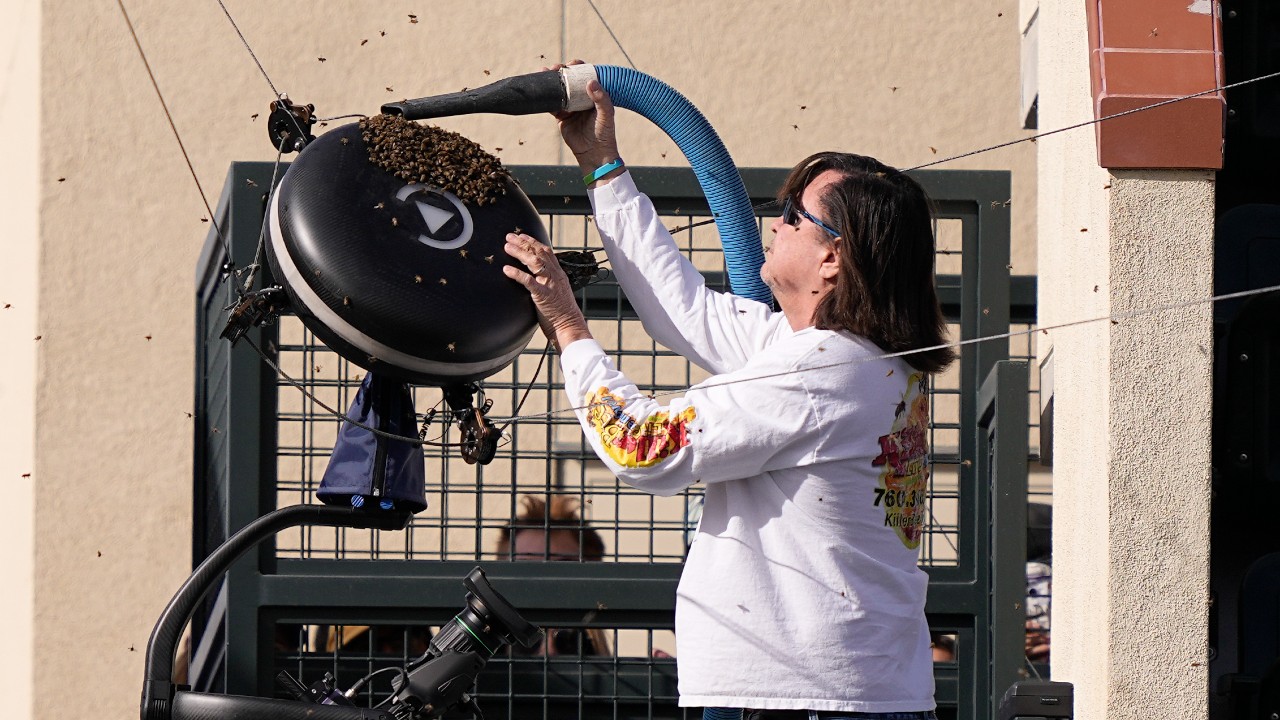 Bees cause a buzz and lengthy disruption at Indian Wells